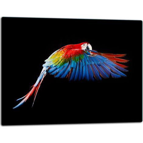 Planche à découper en verre 52x40 motif perroquet (1/5)