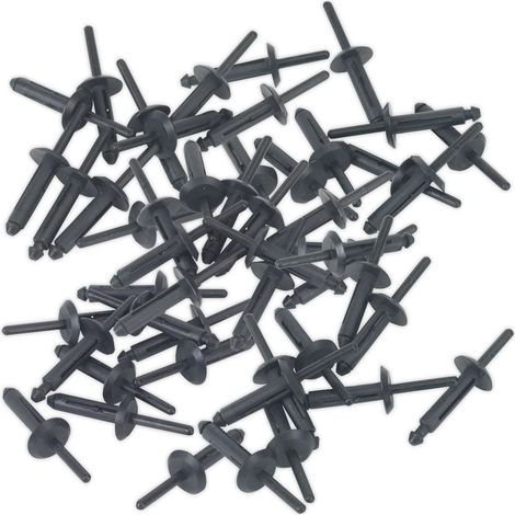 Sealey Plastic Rivet 6.3 x 25.2mm - Pack of 50 PR002