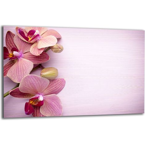 PLACA PROTECTORA DE VIDRIO PARA ESTUFA 80x52 ORQUÍDEA (1/5)