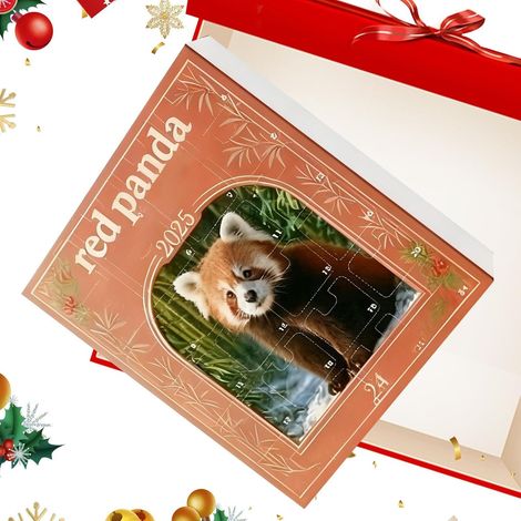 Calendrier De L'Avent Du Raton Laveur Noël 2025 2D Decoration D'Ornement En 24 Jours Calendrier De Compte À Rebours Ornements Animaux Pour Arbre De Noël Fête De Vacances (1/5)