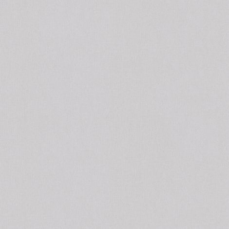 BRICOFLOR Papier peint Gris Couloir Cuisine Chambre (à coucher) Salon - 10,05 x 0,53 m (1/5)