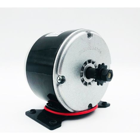 24V Moteur électrique 250W Scooter de Générateur de Moteur électrique à Aimant Permanent pour PMA