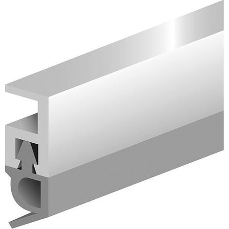 Pts-Ar Rail De Sellado 210 Cm Blanco Pvc Blanc Perfil