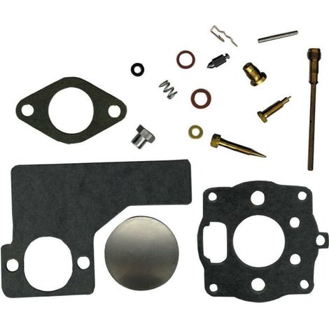 Kit de réparation de carburateur compatible avec Briggs & Stratton 391071 394989 220400 221400 222400.