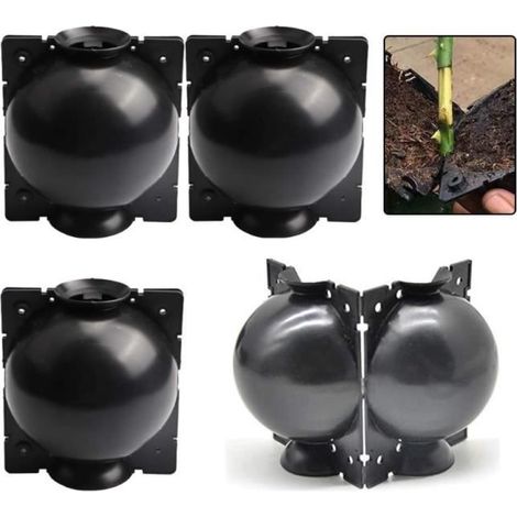Boîte de Greffage de Plantes - Noir - Asymétrique - Plastique (1/4)