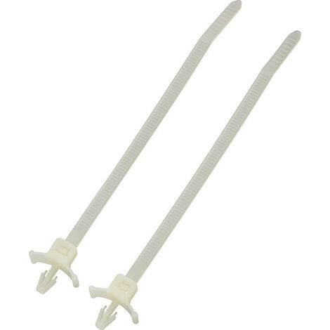 Serre-câble 112 mm x 2.50 mm naturel TRU COMPONENTS TC-PWVS100203 1592911 crantage extérieur 1 pc(s) S050991 (1/3)