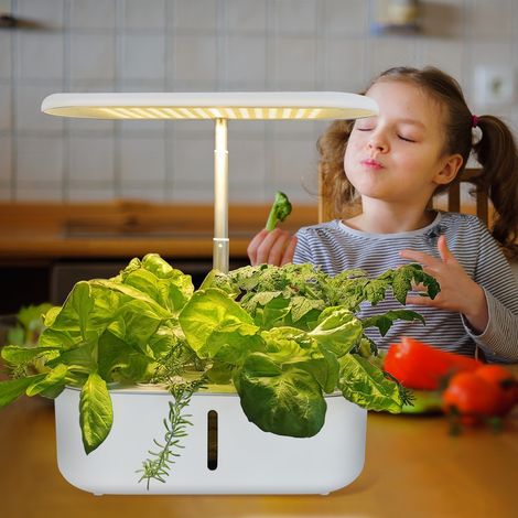 Potager d'intérieur Hydroponique 6 Pots, avec 3 Modes de Croissance Intelligents, Smart Garden de 15W Lumière LED avec Pompe à Eau Silencieuse, Hauteur Réglable 13 à 27 centimètre