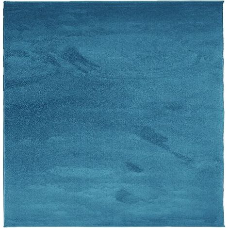Tapis turquoise à poils courts OVIEDO 120x120 cm (1/5)