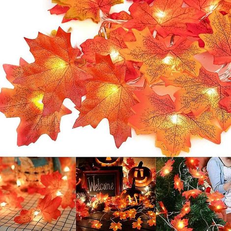 Guirlande lumineuse, 30 LED, pour fêtes, mariages, fenêtres, arbres et décorations saisonnières.-AquaForge (1/4)
