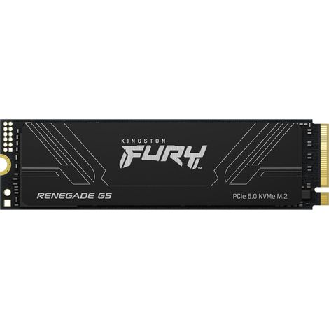 Kingston Technology 2T FURY RENEGADE G5 M.2 2280 NVMe SSD (1/4)