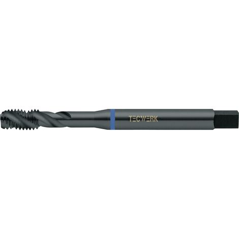 Taraudeuse machine DIN 371C VA M5x0,8mm HSS-Co nitr.et vapor.6H TECWERK (1/2)