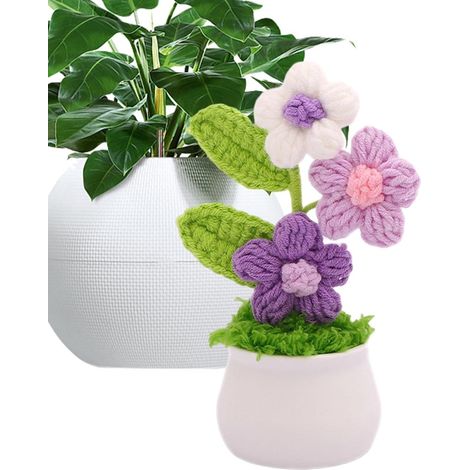 Pot De Au Crochet Décoration colorée Faite Main en dégradé s En Crochet Bouffantes Cadeau Artisanal Pour Salon Bureau Voiture (1/5)