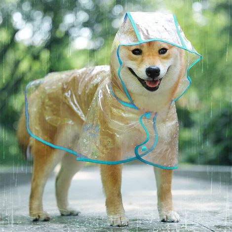 Imperméable Transparent pour Chien avec Capuche Cape de Pluie Réglable pour Chiens de Petite et Moyenne Taille Veste Imperméable Légère Transparente Poncho de Protection Anti-Pluie pour Animaux de Com (1/5)