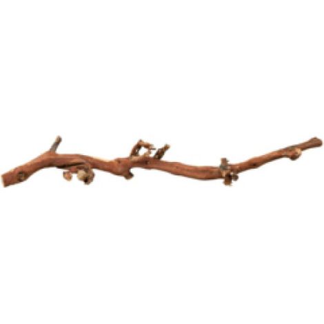 Trixie Décoration Vigne Naturel 55-80 cm pour Terrarium