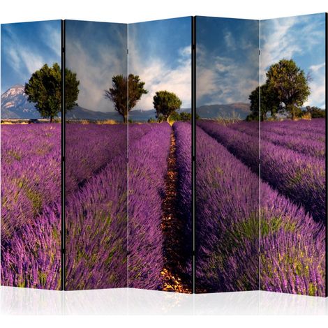 Paravent 5 Volets "Lavender Field in Provence, France" 172x225cm (1/2)