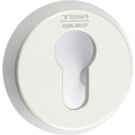 TESA escudo abierto cerradura seg.e300l26cm cromo mate ,  (1/2)