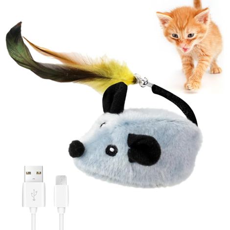 Jouet pour chat électrique souris de jeu, souris magique pour chat, jouet interactif pour chat souris avec queue à plumes et clochette, chargement USB, pour exercice de chat et contre l'ennui (1/5)