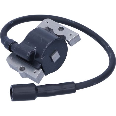 Modulo bobina di accensione – per motori 1258401-S 1258404-S 1258401 – ricambio (1/5)