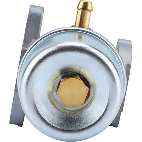 Carburateur – 497586 498170 799868 498254 497314 – Qualité OEM – jardin, tondeuse (1/5)
