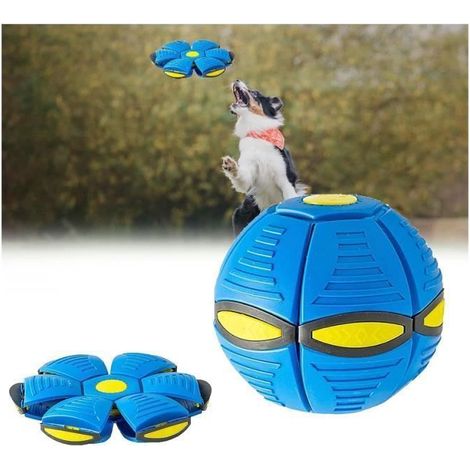 Ensemble de 10 jouets pour chien - MAGIQUE - Balle soucoupe volante - Caoutchouc souple - Interactif - À partir de 6 mois (1/4)