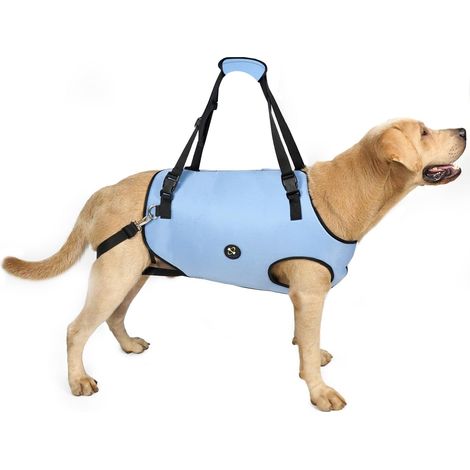 Harnais de Levage Coodeo pour Chien, élingue de rééducation avec Sangles Ajustables rembourrées Respirantes – Chiens âgés, handicapés, arthrite, blessures articulaires (Bleu, XL) (1/5)