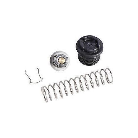 Stück 77707-0010 Thermoregler-Kit passend für Pentair MasterTemp (1/5)