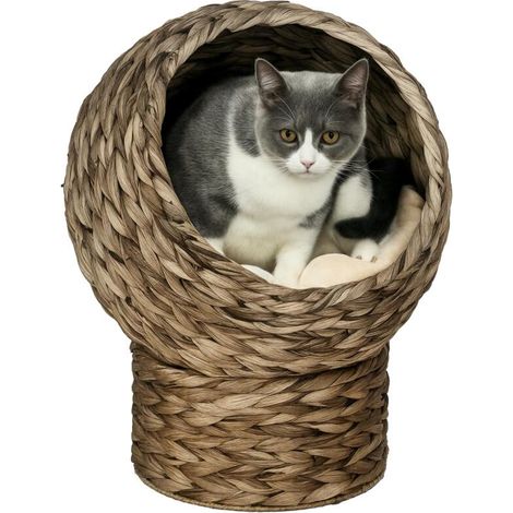 Panier en rotin pour chat avec coussin en herbe aquatique 40 x 37 x 51 cm, lit confortable pour animaux de compagnie (1/5)
