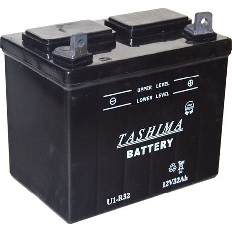 Batterie Plomb Tashima Pour Tondeuse Autoportée 12v, 32a. L: 196, L: 131, H:184mm, + à Droite. (livrée Sans Acide). - Batterie à
