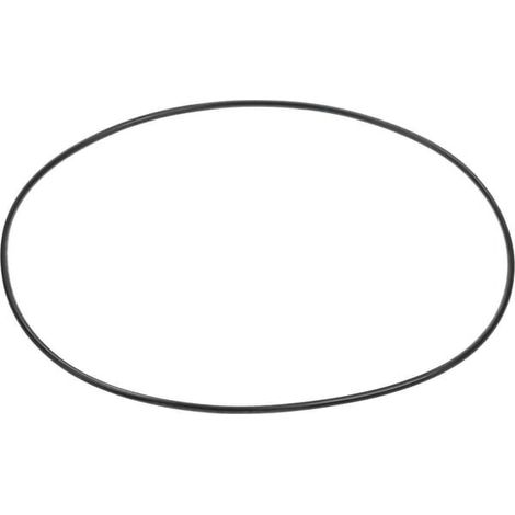 Anello o-ring 2425 107.67 CARRARO CI028610