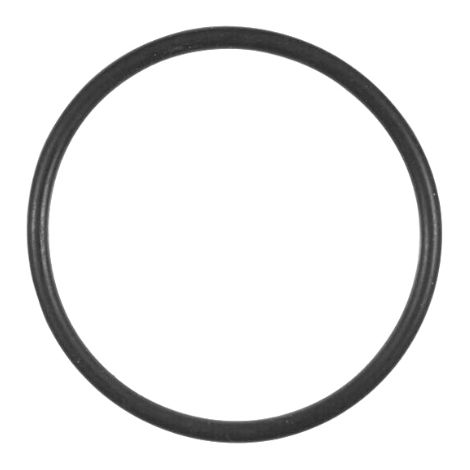O-Ring für Leitschaufeleinsatz Speck Badu 40/7 + 40/11 (1/2)
