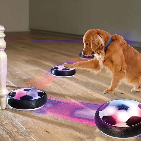 2023 New Active Sliding Disc, Interactive Sliding Disc Dog Toy, Dog Chasing Toy with Cool Lighting Effects (LED Lights)