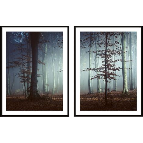 POSTERS CON FOTOS EN MARCO 53x73cm Díptico Conjunto de 2 cuadros Bosque Oscuro P2091 (1/3)