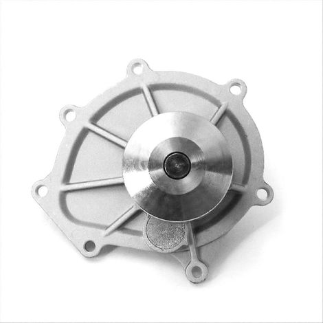 Wasserpumpe für 2,5-Liter-Motor 2000–2006 / Sedona (1/5)