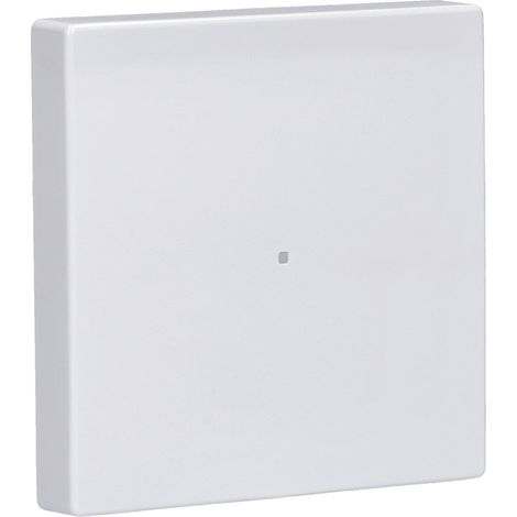 Busch-Jaeger 6230-10-84 2CKA006220A0034 - Balancín (plataforma 63), color blanco