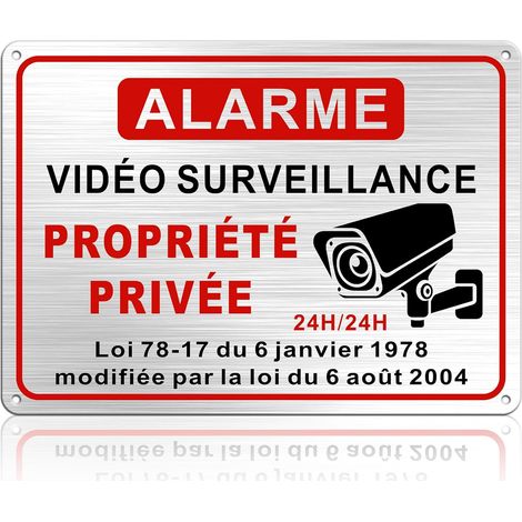 Panneau Alarme Vidéo Surveillance, 25 18CM Panneau Propriété Privée, Video Surveillance Exterieur, Camera en Métal Brossé (1/5)
