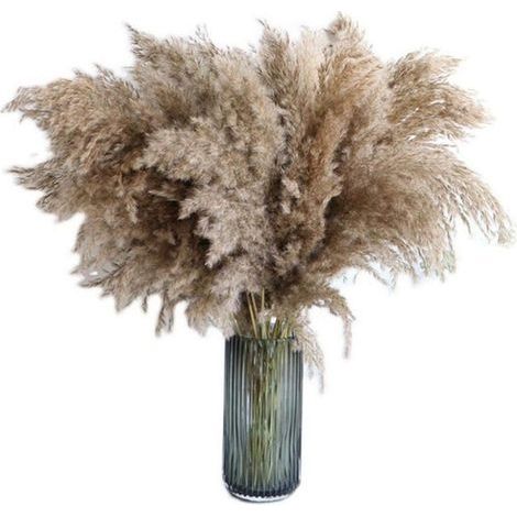 Herbe de la m, 20 pièces, 60 cm, séchée naturellement, mariage, bouquet tendance, fleurs artificielles, pour décoration intérieur, vases intérieur (1/5)