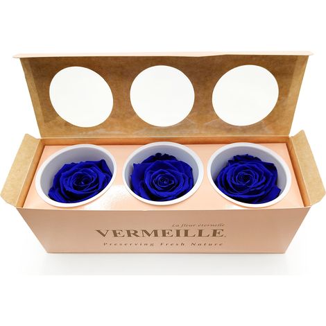 Rose stabilisé - Bleu saphir - XL - Lot de 3