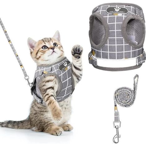(Rayures)Harnais pour Chat - Anti-Évasion - Réglable - Gilet à Rayures - Taille S - Polyester Respirant (1/4)