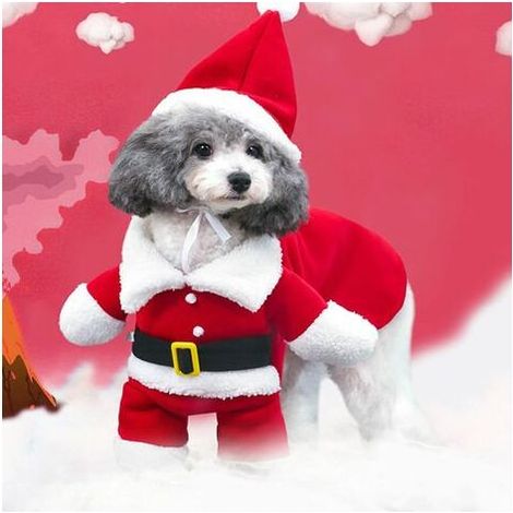 Costume de Noël pour animal avec chapeau de Père Noël, pull à capuche chaud – DELKEVIC