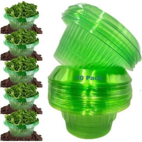 Protection Anti-escargots,10 Pcs Protections Anti-limaces,Anneaux de Protection Anti-escargots, pour Vos Plants Salades et Choux,fy (1/4)
