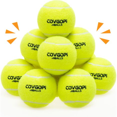 Lot de 2 balles en Caoutchouc Naturel avec goût Menthe pour Chien - Jouet d'intelligence pour Chien avec Nettoyage des Dents (1/5)