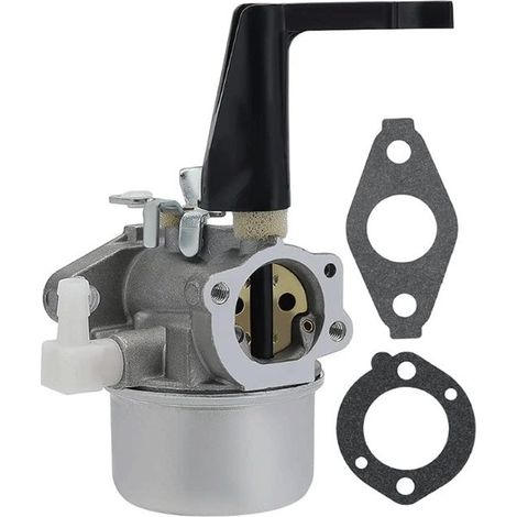 696065 Carburador de repuesto con kit de juntas para Briggs & Stratton (1/3)
