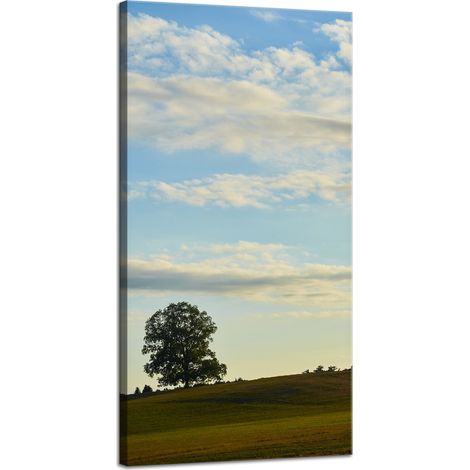 Impression sur toile Nature Arbre dans un champ 40x80 cm Ciel Prairie Nuages