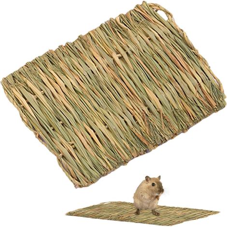Lapin Tapis Naturel Confortable Literie (1/5)