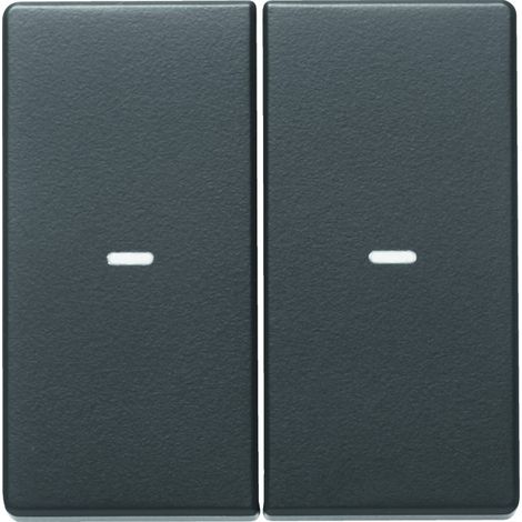 Plaque de finition Berker q.x cover 2f anthracite 2 postes
