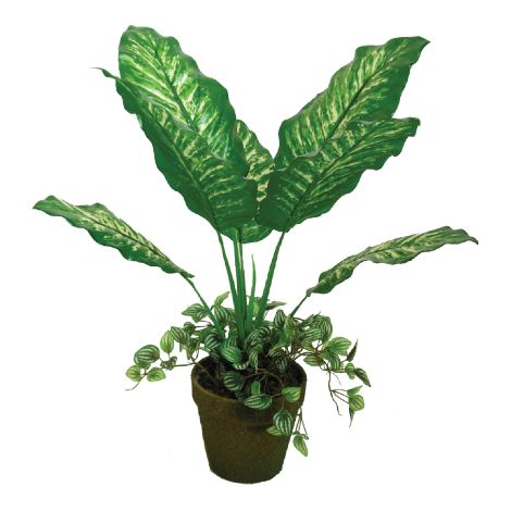 Pianta artificiale dieffenbachia mod. A092KM altezza 55 cm decorazione casa piante finte