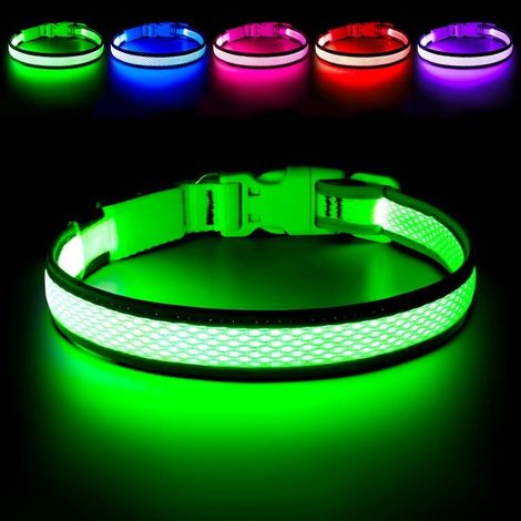 Collare per cani a LED: collare luminoso ricaricabile e regolabile per cani, che garantisce sicurezza e visibilità al buio. Adatto a cani di piccola, media e grande taglia. (1/5)