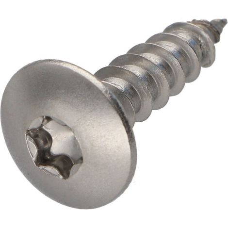 Vis Penture 6X25 Filetage total TORX T30 Inox A2-30 pièces