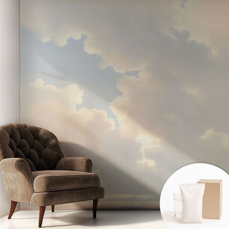 Papier peint intissé avec imprimé pour décoration intérieure pour rénovation a motif - Colle incluse gratuite Ciel pastel 250x250 cm (1/5)