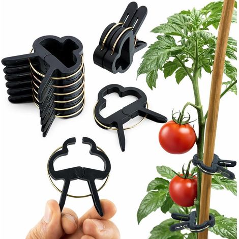 60 Clips pour Plantes (6cm) - Attache Tomate, Attache Plante, Clips Tomates Réutilisables, Support Grimpantes, Fixation Facile au Jardin (1/5)